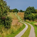 Wohin fÃ¼hrt der Weg???